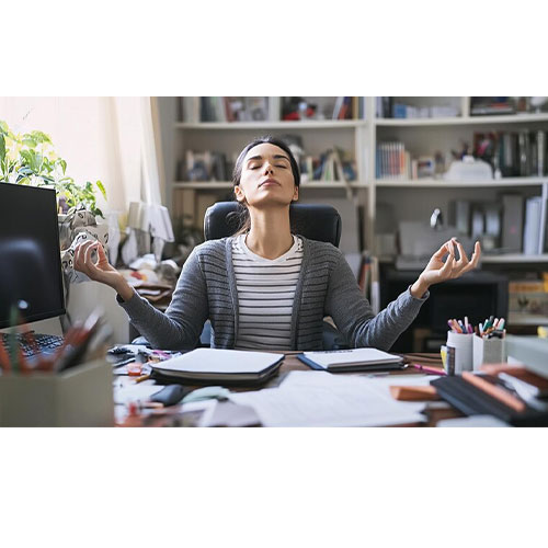 Best Stress Management Program